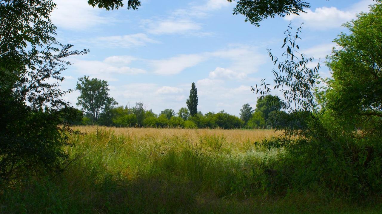Ferienwohnung Fuchsberge Letschin Екстер'єр фото