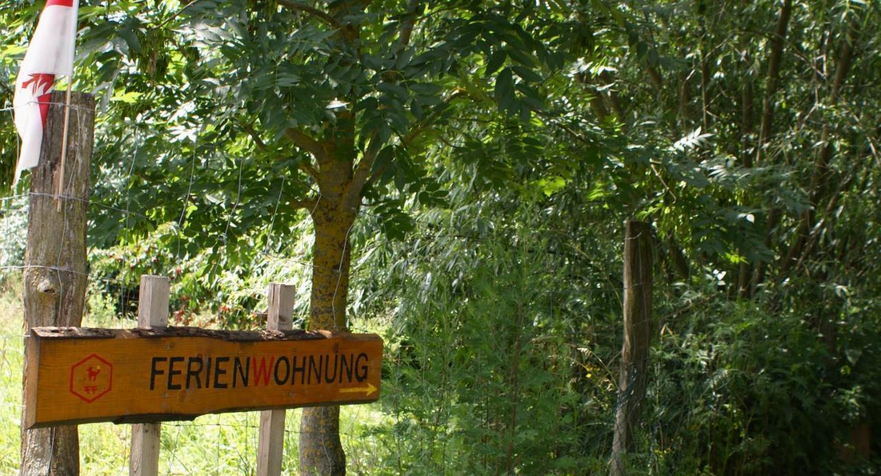 Ferienwohnung Fuchsberge Letschin Екстер'єр фото