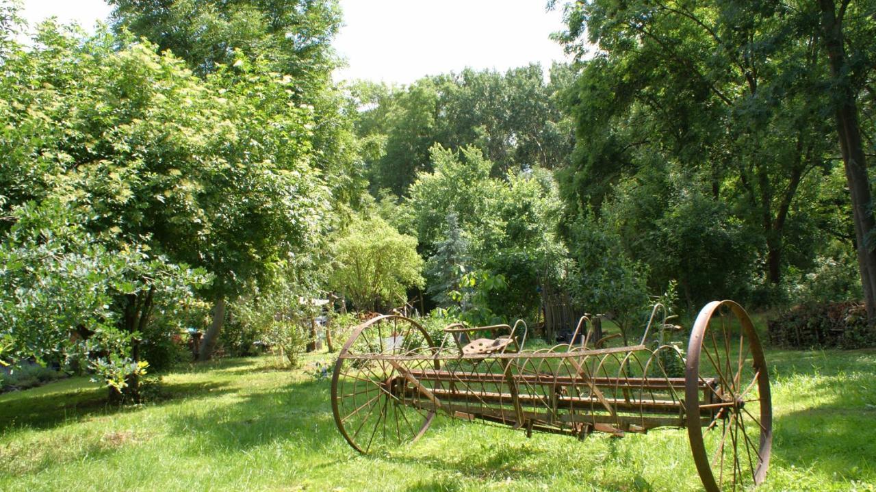 Ferienwohnung Fuchsberge Letschin Екстер'єр фото